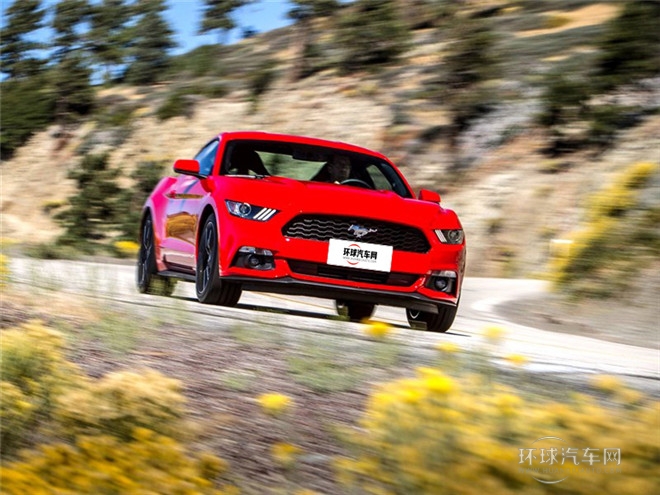 2015款 5.0L GT 運動版