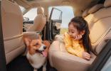 GS4 MAX締造全家出行幸福